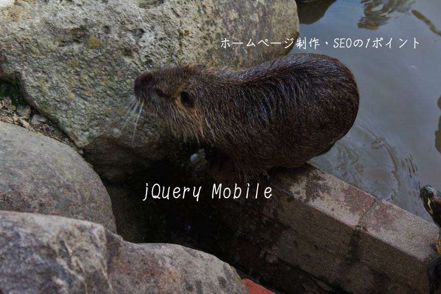 jQuery Mobile ホームページ制作・SEO