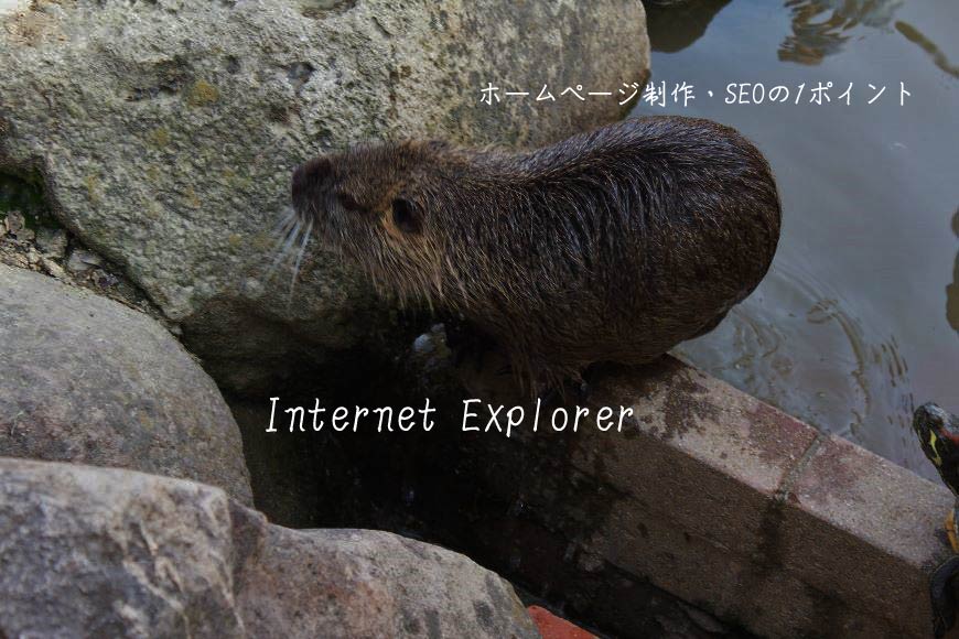 Internet Explorer ホームページ制作・SEO