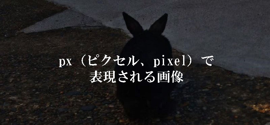 px（ピクセル、pixel）で表現される画像