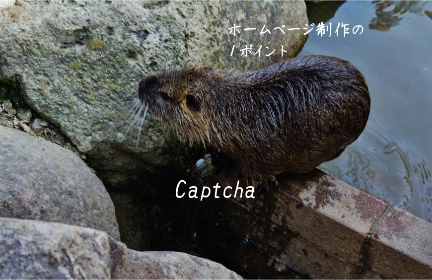 Captcha ホームページ制作 Web制作 SEO