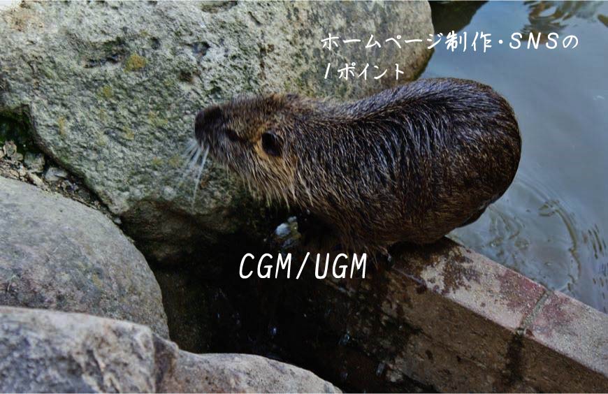 CGM UGM ホームページ制作 Web制作 SEO