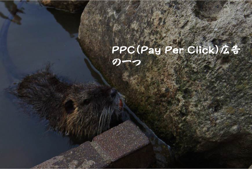 PPC（Pay Per Click）広告の一つ Webマーケティング