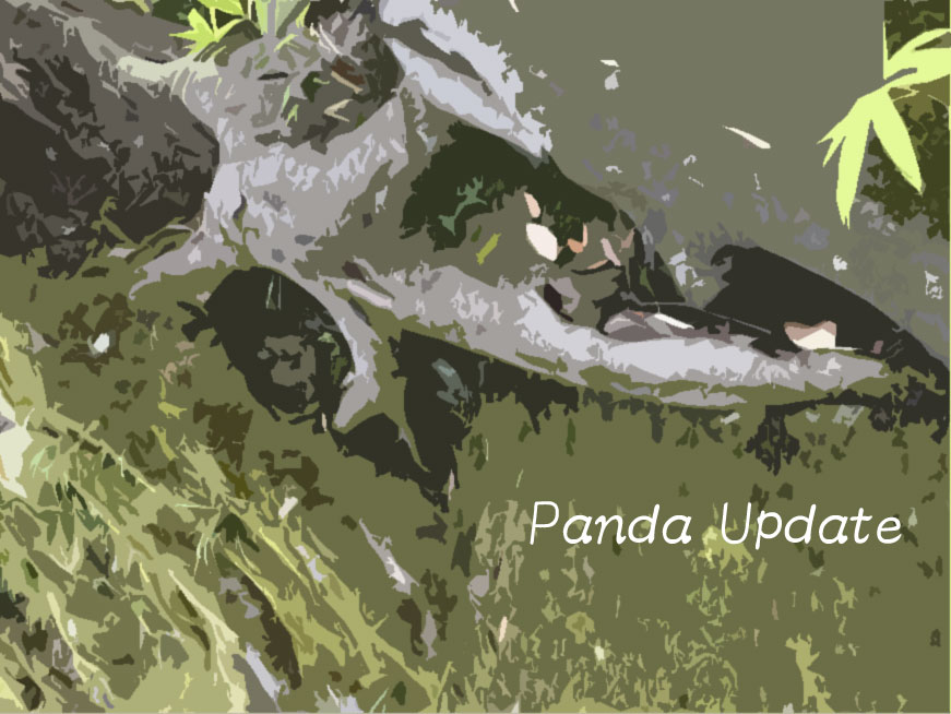 Panda Updateについて