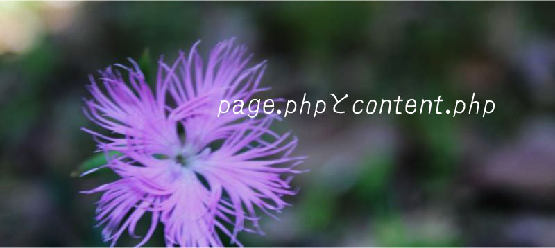 page php content php WordPress