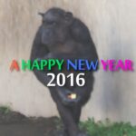 謹賀新年2016 株式会社ファンフェアファンファーレ