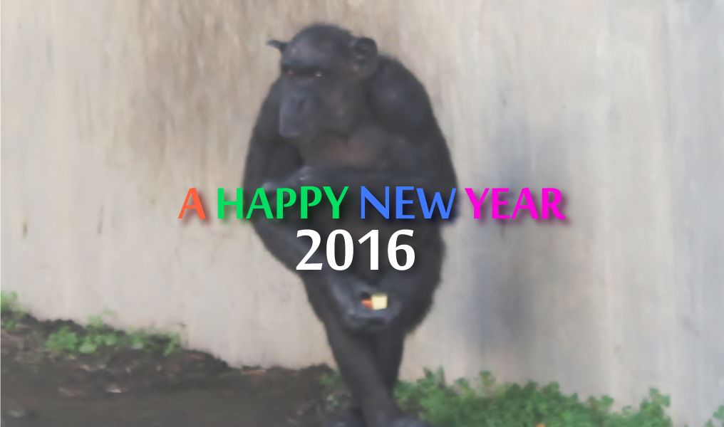 謹賀新年2016 株式会社ファンフェアファンファーレ