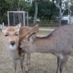 ウェブPRとオウンドメディア