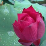 ネットショップにおけるウェブページデザインのポイント