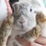 専門メディアとBtoBメディア オウンドメディアでウェブPR