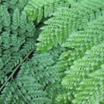 オウンドメディアパターン　基本的な類型