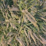 ネットショップと実店舗の相違点 商品へのアプローチの違い