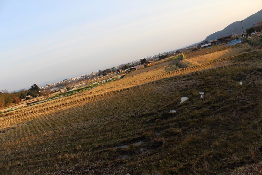 北嵯峨の風致地区 田園風景2
