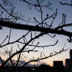 ウェブサイト活用にも当然に存在する「閾値（いきち）」