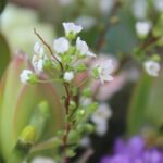 ライティングは雲泥の差 オウンドメディア運営