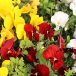 簡単にサイトカスタマイズできる場合とそうでない場合