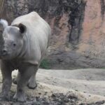 ウェブマーケティングと経営学との共通点