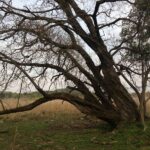 ウェブPR再考 根本的なPRの視点から