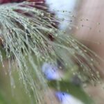 コンテンツの表現の問題点とコンテンツプラットフォーム