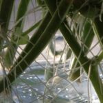 SEO業者の手法「リンク販売」