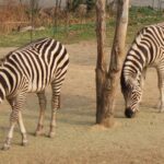 良質なコンテンツのタネは現場にたくさん落ちています