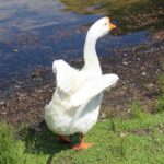 ウェブ上でのマーケットインに偏りがちなウェブマーケティングやSEOからもう一歩先へ