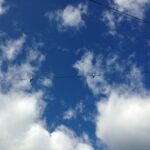 ホームページ・ウェブサイトの費用対効果