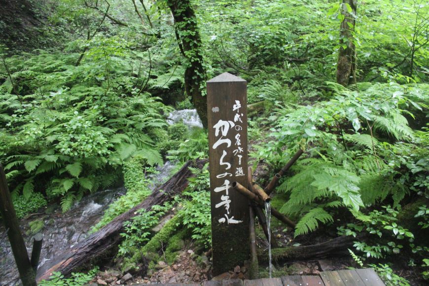 かつらの千年水 但馬高原植物園内