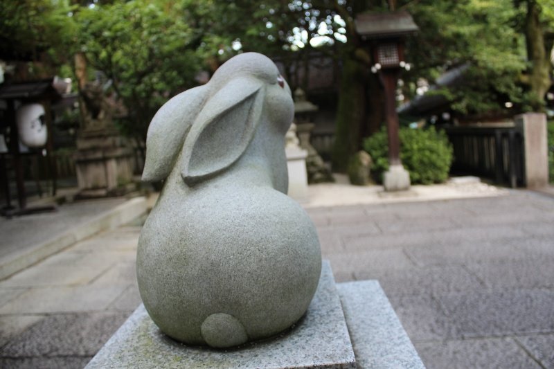 岡崎神社の狛兎後ろ姿