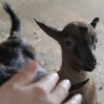 「独自性のある強み」USPをホームページのコンテンツへ