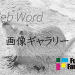 画像ギャラリー Web制作|ホームページ制作