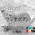 ラジオボタン Web制作|ホームページ制作