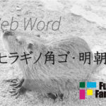 ヒラギノ角ゴ・明朝 Web制作|ホームページ制作