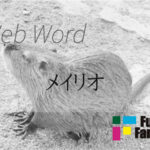 メイリオ Web制作|ホームページ制作