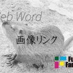 画像リンク Web制作|ホームページ制作