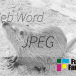JPEG Web制作|ホームページ制作