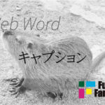キャプション Web制作|ホームページ制作