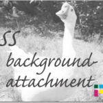 ホームページ制作　css background-attachment