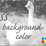 ホームページ制作　css background-color