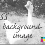 ホームページ制作　css background-image