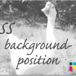ホームページ制作　css background-position