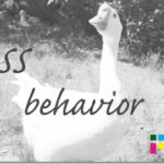 ホームページ制作　css behavior