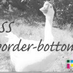 ホームページ制作　css border-bottom