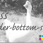 ホームページ制作　css border-bottom-style
