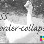 ホームページ制作 css border-collapse