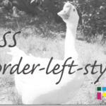 ホームページ制作　css border-left-style