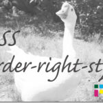 ホームページ制作　css border-right-style