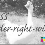 ホームページ制作　css border-right-width