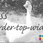 ホームページ制作　css border-top-width