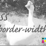 ホームページ制作　css border-width