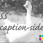 ホームページ制作　css caption-side